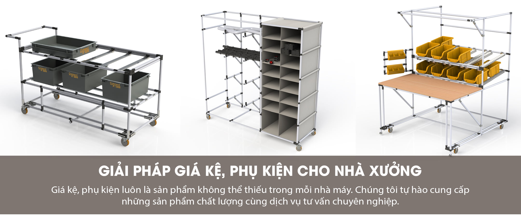Trang chủ 1